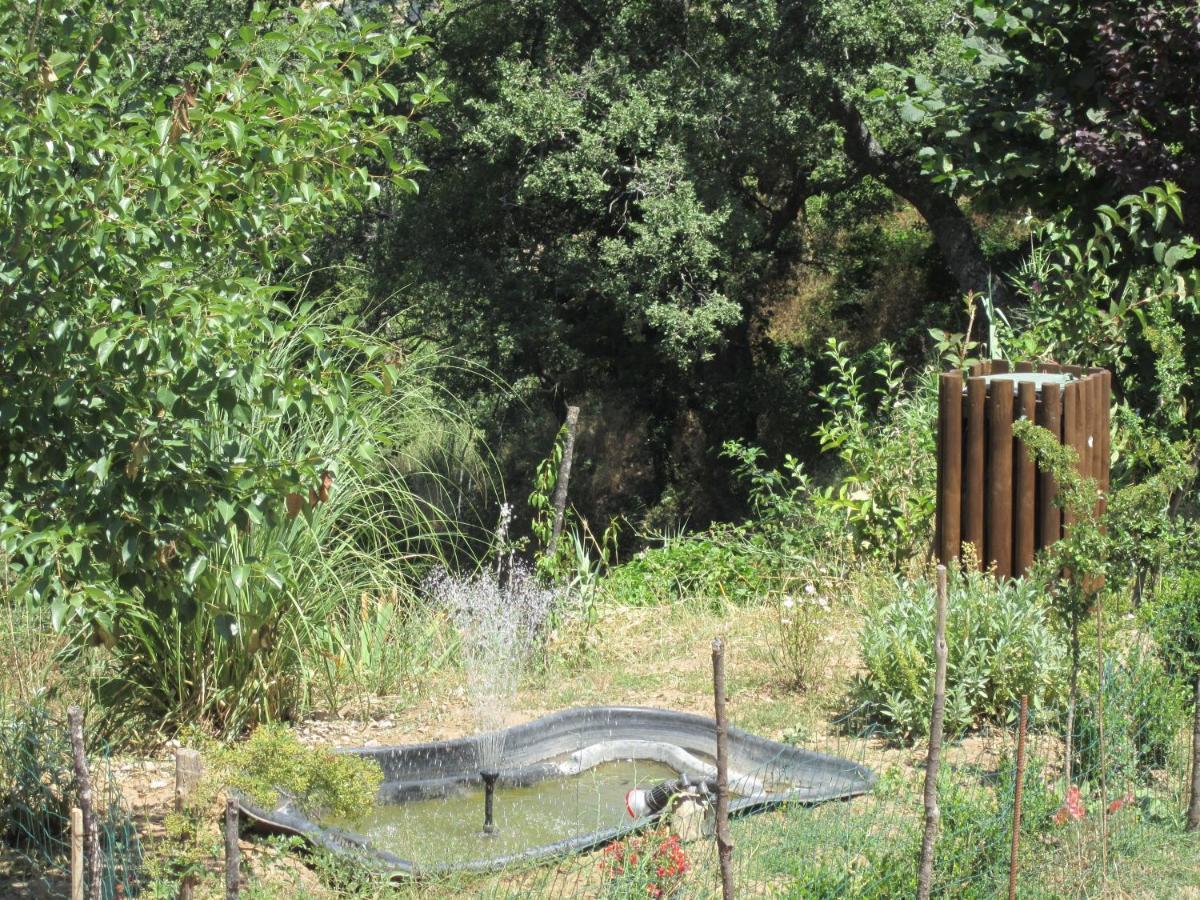 Agriturismo Grotta Dell'Eremita Albano di Lucania ภายนอก รูปภาพ